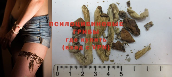 MESCALINE Заводоуковск