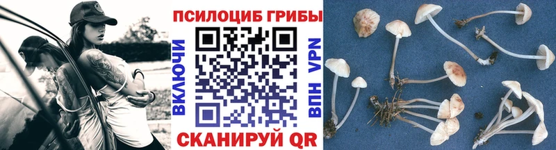 Галлюциногенные грибы ЛСД  Купить  Калининск 
